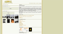 Desktop Screenshot of forum.h0lg4.org